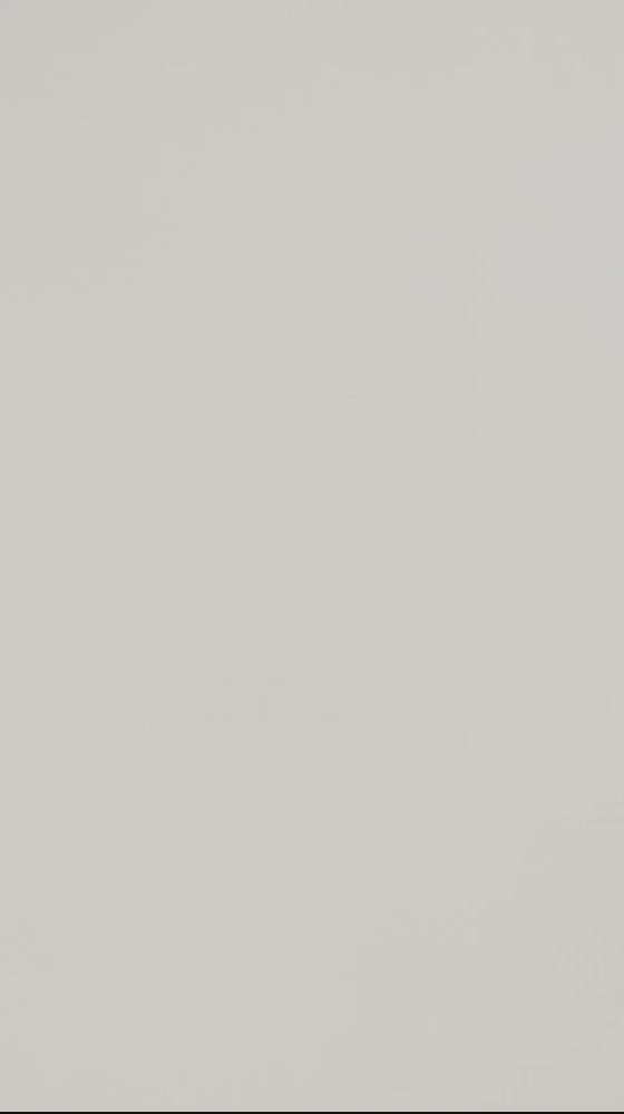 The Feather & Pearl Detail High Waisted Hot Pants in Black